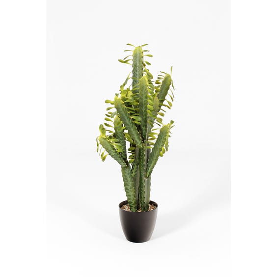 image of Artificial green Trigona succulent