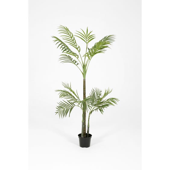 image of Artificial areca palm