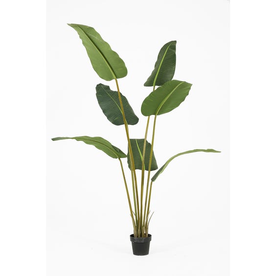 image of Artificial bird of paradise plant