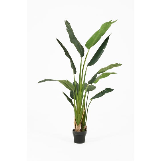 image of Artificial bird of paradise plant
