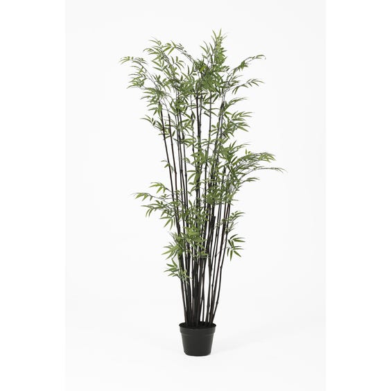 image of Artificial black stemmed bamboo tree