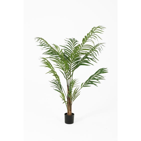 image of Medium artificial Areca palm