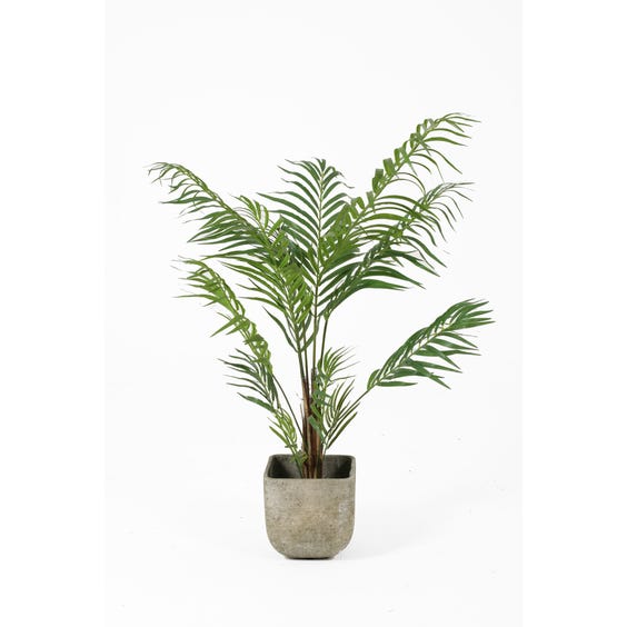 image of Medium artificial Areca palm