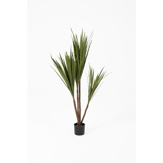 image of Artificial dragon tree