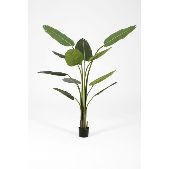 image of Large artificial bird of paradise plant