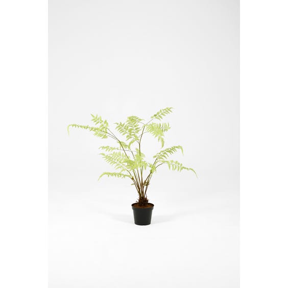 image of Medium artificial green fern plant
