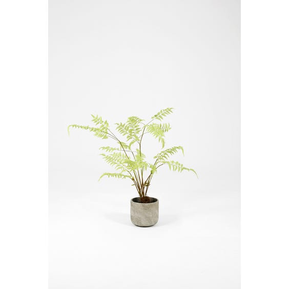 image of Medium artificial green fern plant