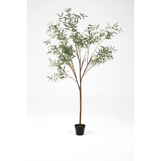 image of Large artificial olive tree