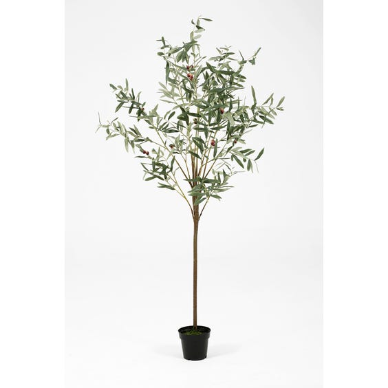 image of Small artificial olive tree