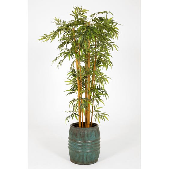 image of Bamboo in barrel planter