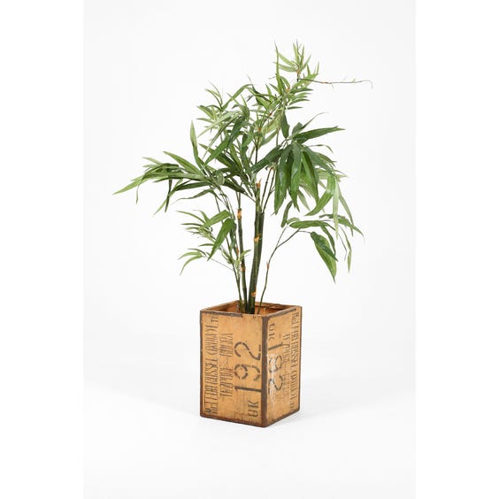 Rustic wooden tea crate planter image