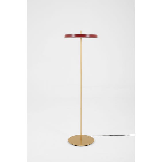 image of Polished brass and red disc floor lamp