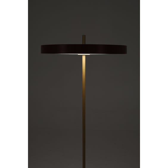 image of Polished brass and red disc floor lamp