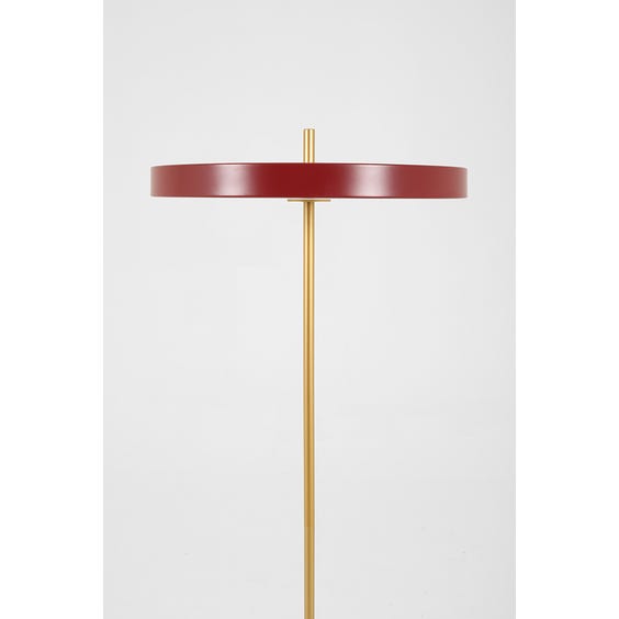 image of Polished brass and red disc floor lamp