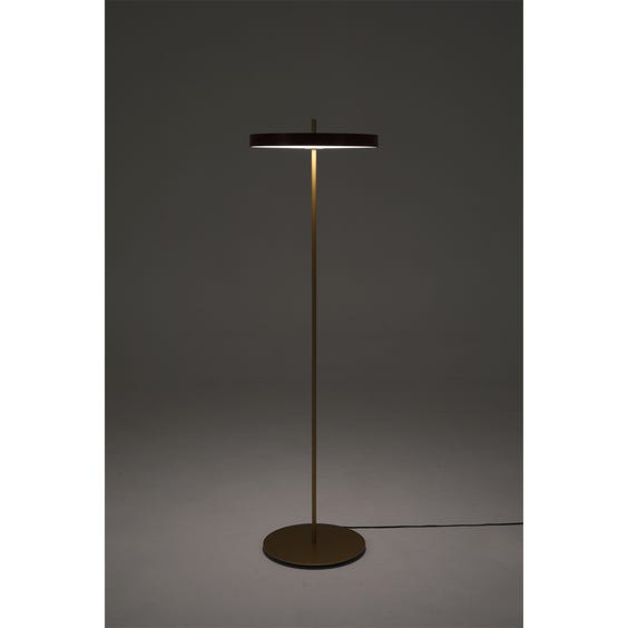 image of Polished brass and red disc floor lamp