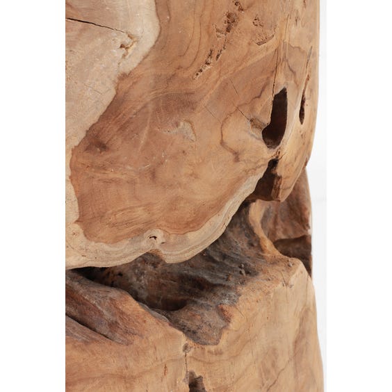 Light wood organic root side table  image